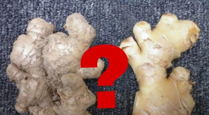 Buy ginger with smooth or rough skin, choosing the wrong one only wastes money, and you won’t even get the fragrance.