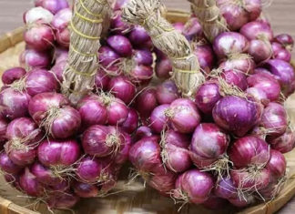 How to store dried onions to prevent sprouting, molding, and preserve their flavor for a year