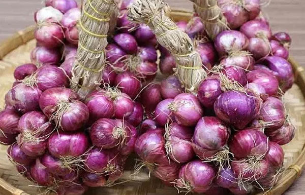 How to store dried onions to prevent sprouting, molding, and preserve their flavor for a year