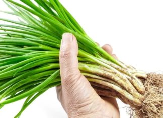 Extend the lifespan of your vegetables by following this one extra step before storing