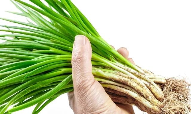 Extend the lifespan of your vegetables by following this one extra step before storing