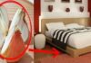 Surprising Benefits of Placing a Chopped Onion at the Corner of Your Bed