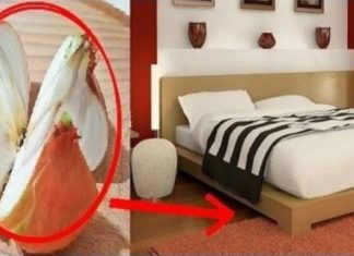 Surprising Benefits of Placing a Chopped Onion at the Corner of Your Bed