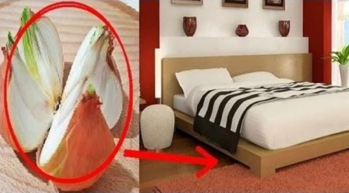 Surprising Benefits of Placing a Chopped Onion at the Corner of Your Bed