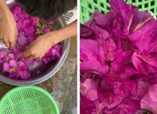 Can you eat paper flowers?