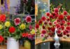 Select Gorgeous Medicinal Flowers for a Festive Tet Celebration, Lasting Freshness for an Entire Week