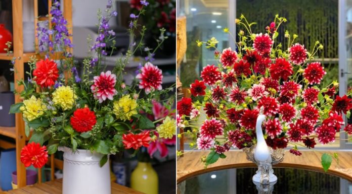 Select Gorgeous Medicinal Flowers for a Festive Tet Celebration, Lasting Freshness for an Entire Week