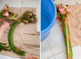 “How to Arrange Daisies to Achieve a Delicate and Pure Look”