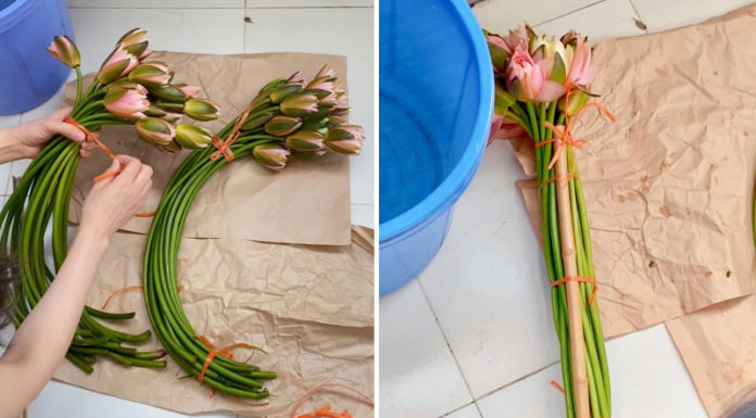 “How to Arrange Daisies to Achieve a Delicate and Pure Look”