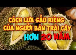 “Discover Different Ways to Enjoy an Avocado by Trying Different Levels of Ripeness”