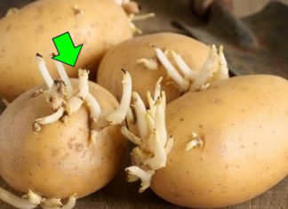 Dangerous Foods to be Aware Of