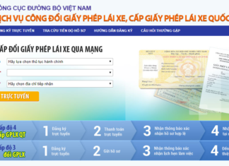 Guidelines for Renewing a Lost Driver’s License without Retaking the Test