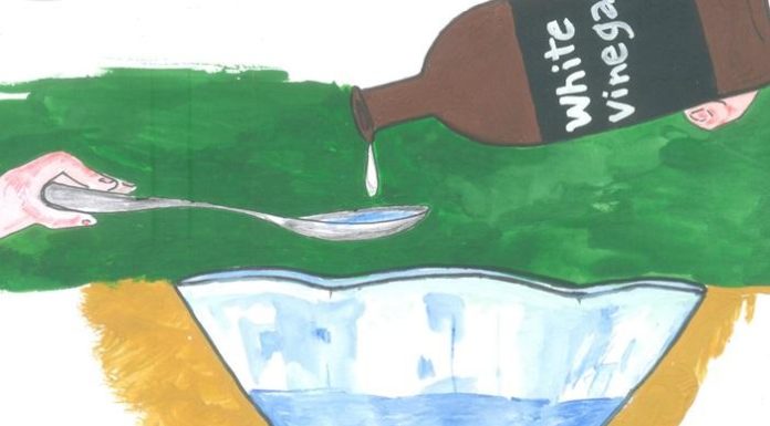 Z-A Guide to Cleaning a Microwave