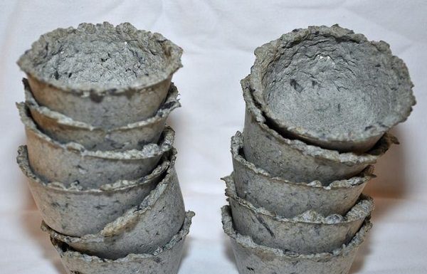 Surprisingly, even waste paper can help make your garden lush and green.