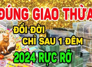 The Lucky Charm: A Toddler’s Ticket to Triumph.