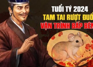 Relentless Pursuit of Dark Clouds: 3 years of hard work still in debt, 2 years of fortune and abundance