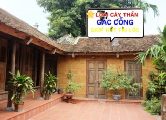 Plant These 5 Trees in front of Your House and Bring Generational Wealth, What Are They?