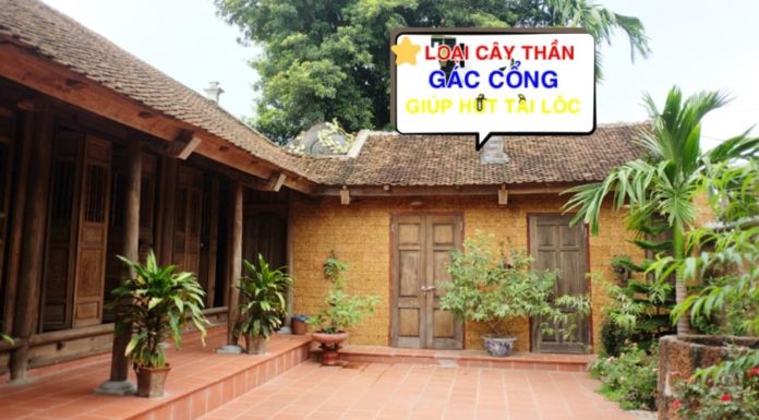 Plant These 5 Trees in front of Your House and Bring Generational Wealth, What Are They?