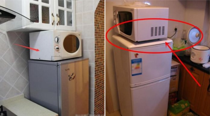 Roof of the refrigerator blocks the lucky fortune, “non team” loses all its money