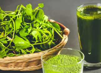 Use Gotu Kola and Salt to Get Rid of Acne Quickly