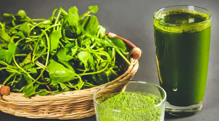 Use Gotu Kola and Salt to Get Rid of Acne Quickly