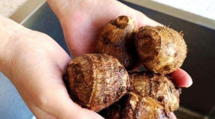 The best way to peel taro is not by using a knife, here’s how to keep your hands itch-free and remove all the slime.