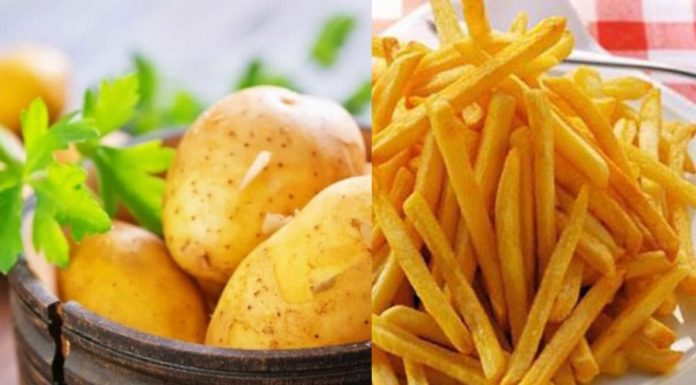 Crispy Golden French Fries that Stay Fresh, Add this Extra Ingredient for Extra Deliciousness and Praise-Worthy Taste