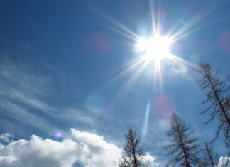 Unlock the Benefits of Brown Rice for Weight Loss and Better Skin