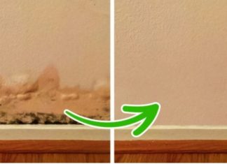 3 places in your home that smell bad – moldy when the weather is humid and how to fix them.