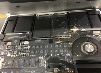 “How to Keep Your Laptop Clean and Ant-Free”