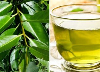 Benefits of Betel Leaf for Health