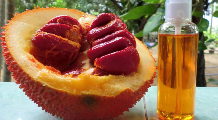 How to Make 100% Pure Gac Oil for Babies at Home