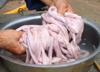 Two ingredients that will make anything spotlessly clean, brilliantly white, and odor-free