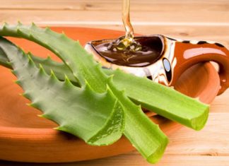 Beauty Hack: Aloe Vera and Honey DIY Face Mask for Gorgeous Skin this Lunar New Year