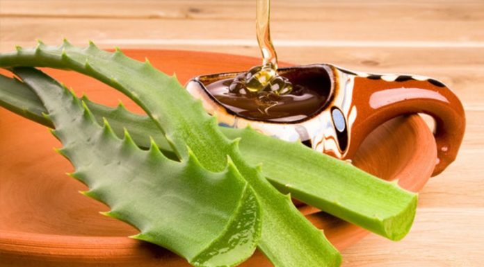 Beauty Hack: Aloe Vera and Honey DIY Face Mask for Gorgeous Skin this Lunar New Year