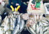 The Top 4 Most Delicious and Nutritious Natural Seafood: Get Them at the Market Now