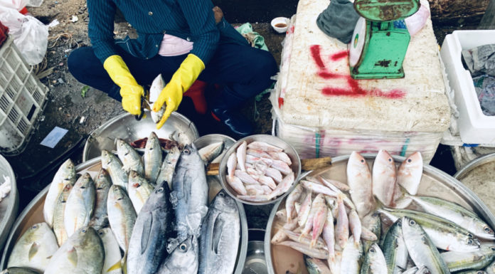 The Top 4 Most Delicious and Nutritious Natural Seafood: Get Them at the Market Now