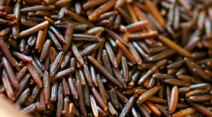 Royalty’s Longtime Access to Nourishment-Rich Varieties of Rice