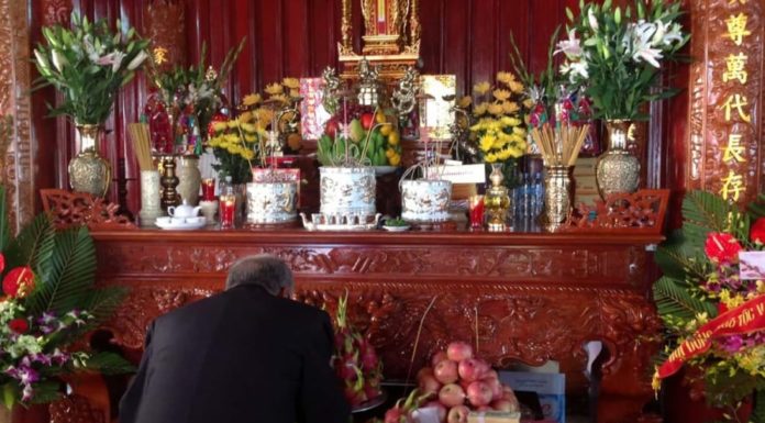 7 Beautiful Flowers to Avoid Putting on the Altar During Tet: Number 1 is a No-No