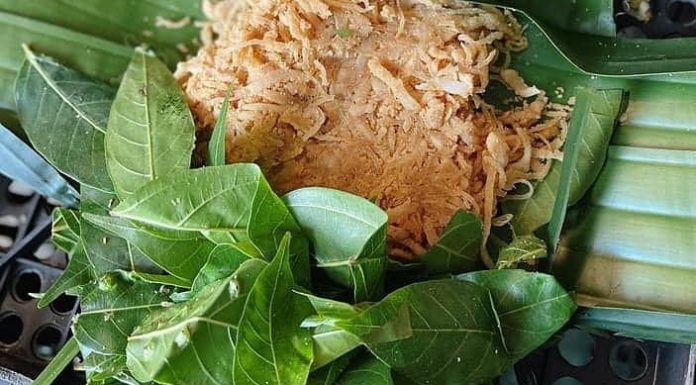 3 Types of Leaves That Lower Blood Sugar, Cholesterol, and Protect Heart Health