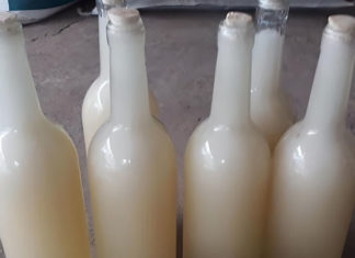 Yen Bai Honey Valued at Up to Half a Million Dong per Liter