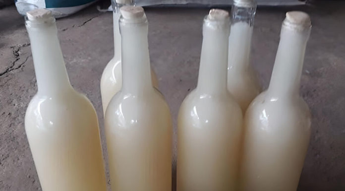 Yen Bai Honey Valued at Up to Half a Million Dong per Liter