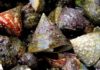 Delicacy Made from Rare Snails with Prehistoric Shapes