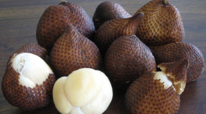 Internet-Crazed Public Snatching Up ‘Snake-Scaled’ Fruit Quickly