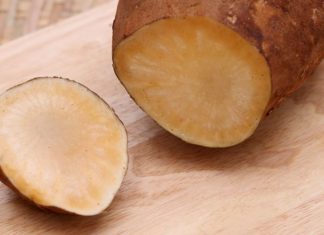 Tasting the Sweetness of Lao Cai’s Ginseng-Like Fruit