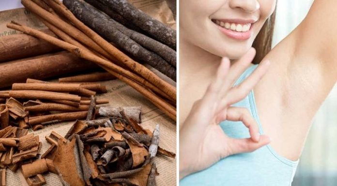 The Odor-Busting Benefits of This Common Herb