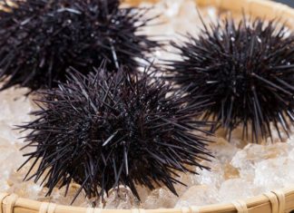 Pricey Eggs Remain a Highly Desirable Nutritious Option