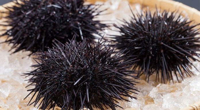 Pricey Eggs Remain a Highly Desirable Nutritious Option