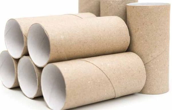 The Surprising Benefits of Toilet Paper Cores, Number 6 is Truly Unique