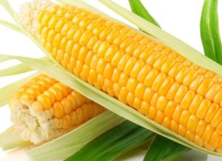 Uncovering the 8 Incredible Benefits of Eating Corn